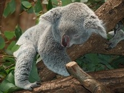 ヒーリング後は眠くなる