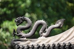 守護霊に白い龍